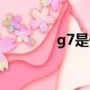 g7是什么意思（g7的意思）