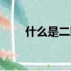 什么是二氧化碳（二氧化碳的解釋）