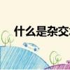 什么是雜交水稻（解釋什么是雜交水稻）