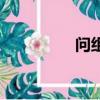 問組詞（問組詞有哪些）