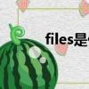 files是什么意思（files的意思）