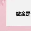 微金是什么材質（微金是什么）