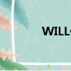 WILL什么意思（WILL解析）