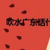 吹水廣東話什么意思（吹水廣東話的意思）