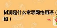 樹洞是什么意思網絡用語(網絡語樹洞含義介紹)