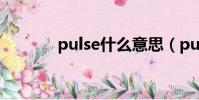 pulse什么意思(pulse解釋)