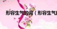 形容生氣的詞(形容生氣的詞有哪些呢)