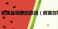 寂寞在唱歌的歌詞(寂寞在唱歌的歌詞原文)