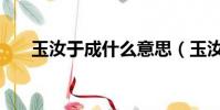 玉汝于成什么意思(玉汝于成的含義)