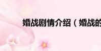 婚戰劇情介紹(婚戰的內容簡介)