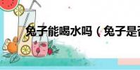 兔子能喝水嗎(兔子是否可以喝水)
