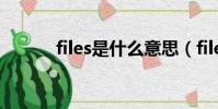 files是什么意思(files的意思)
