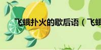 飛蛾撲火的歇后語(飛蛾撲火的含義)