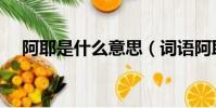 阿耶是什么意思(詞語阿耶是什么意思)