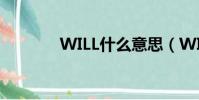 WILL什么意思(WILL解析)