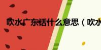 吹水廣東話什么意思(吹水廣東話的意思)