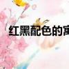 紅黑配色的寓意（紅黑配色的寓意是什么）