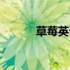 草莓英語單詞（一起來學習吧）