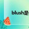 blush是什么意思（blush的意思）