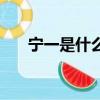 寧一是什么意思（寧一的意思是什么）
