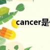 cancer是什么意思（cancer的含義）