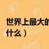 世界上最大的淡水魚（世界上最大的淡水魚是什么）
