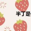 半丁是什么意思（半丁的意思）