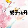 梔子花開票房（這是一個什么故事）