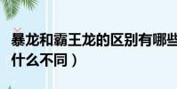 暴龍和霸王龍的區別有哪些(暴龍和霸王龍有什么不同)
