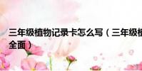 三年級植物記錄卡怎么寫(三年級植物記錄卡這樣寫簡單又全面)