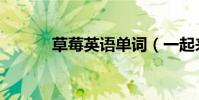 草莓英語單詞(一起來學習吧)