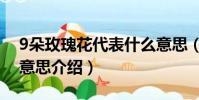 9朵玫瑰花代表什么意思(9朵玫瑰花代表的意思介紹)
