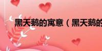 黑天鵝的寓意(黑天鵝的寓意是什么)