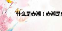 什么是赤潮(赤潮是什么意思)