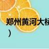 鄭州黃河大橋長多少米（鄭州黃河大橋有多長）