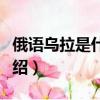 俄語烏拉是什么意思（關于俄語烏拉的意思介紹）