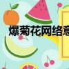 爆菊花網絡意思（爆菊花網絡意思是什么）