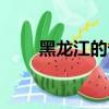 黑龍江的省會在哪里（簡稱是什么）