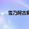 雪乃阿古麗亞介紹（妖精的尾巴簡介）