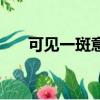 可見一斑意思（可見一斑是什么意思）