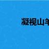 凝視山羊的人劇情（導演是誰啊）