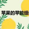 蘋果的蘋能組什么詞（蘋果的蘋能組哪些詞）