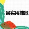 最實用捕鼠方法（這些捕鼠方法最實用）