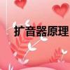 擴音器原理（擴音器的工作原理是什么）