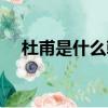 杜甫是什么朝代的（杜甫是哪個朝代的）