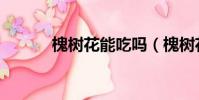 槐樹花能吃嗎(槐樹花怎么吃)