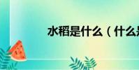 水稻是什么(什么是水稻)
