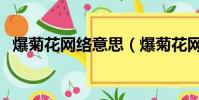 爆菊花網絡意思(爆菊花網絡意思是什么)
