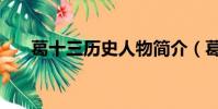 葛十三歷史人物簡介(葛十三的資料)