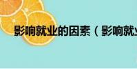 影響就業的因素(影響就業的因素簡述)